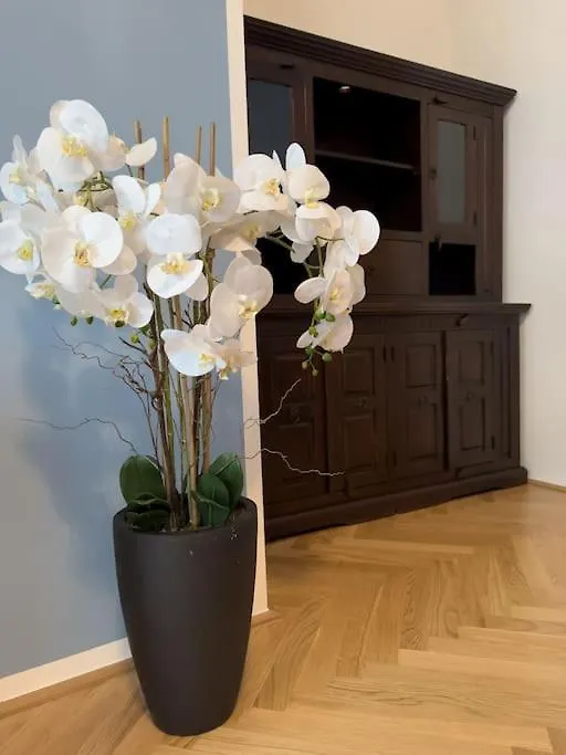Classy Suite Museumsquartier فيينا